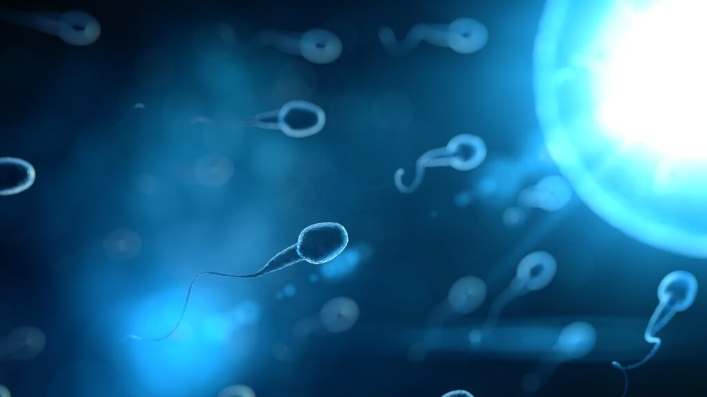 Astenozoospermia: definición, síntomas y tratamiento