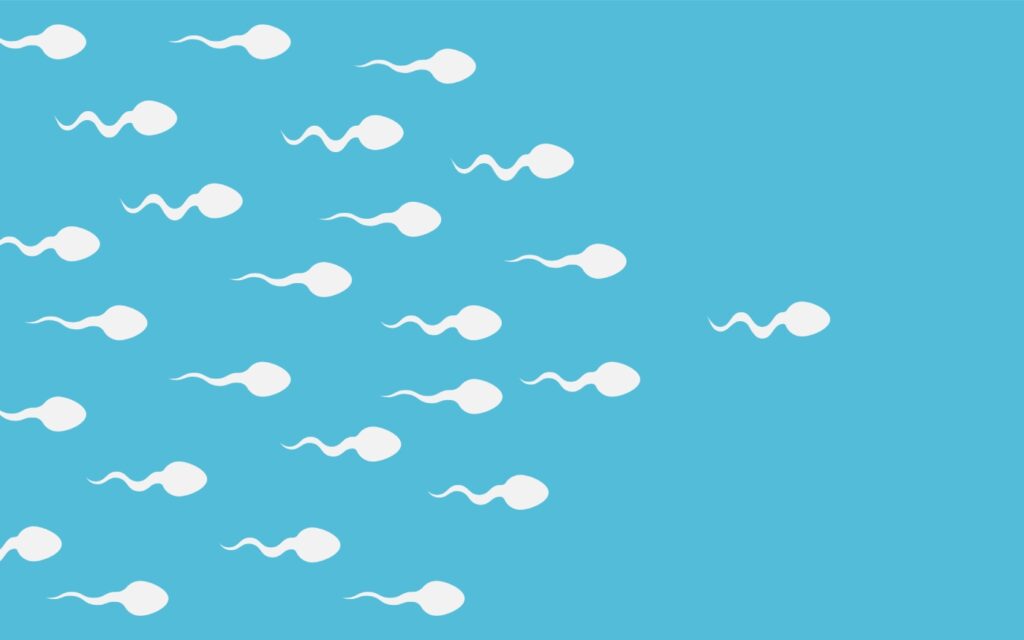 Teratozoospermia: qué es, causas, síntomas, tratamiento
