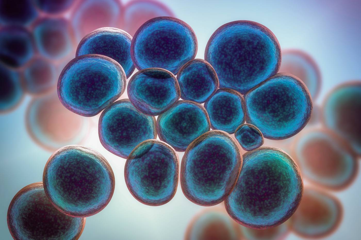 Ureaplasma: síntomas y tratamiento