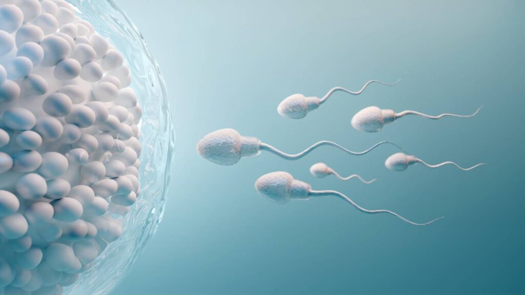 ¿Cómo afecta la diabetes a la fertilidad masculina?