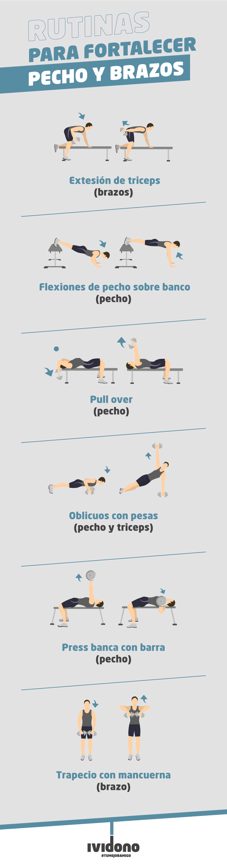 Infografía sobre ejercicios de cómo fortalecer pecho y brazos