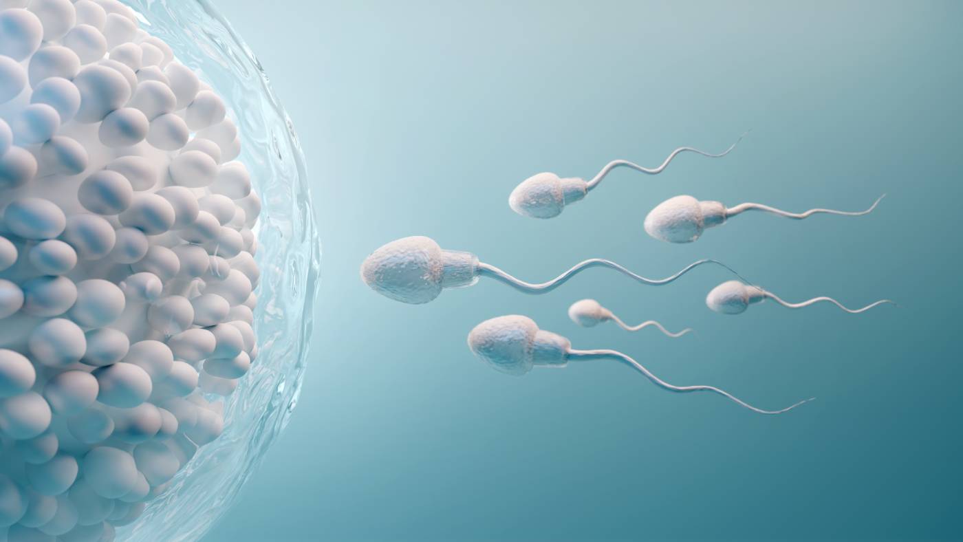 diabetes fertilidad masculina